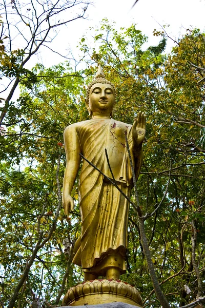Image Buddha in the forest — Stock Photo, Image