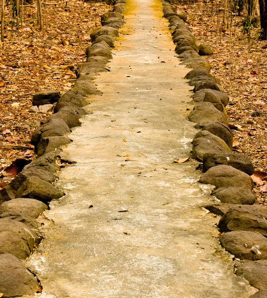 Camino con piedra en el bosque —  Fotos de Stock