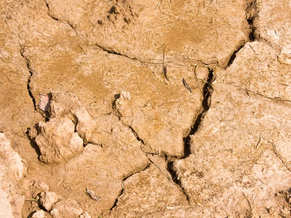 Texture secca del suolo marrone — Foto Stock