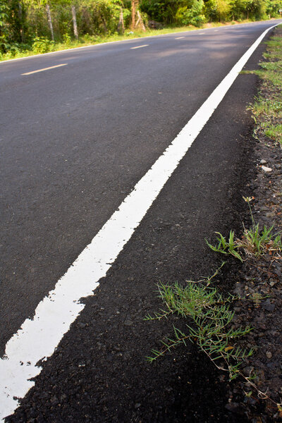 Country road lined in north-east Thailand