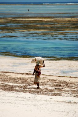 zanzibar plaj üzerinde yürüme