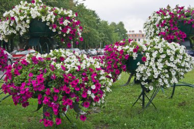 Decorating with flowers streets city. clipart