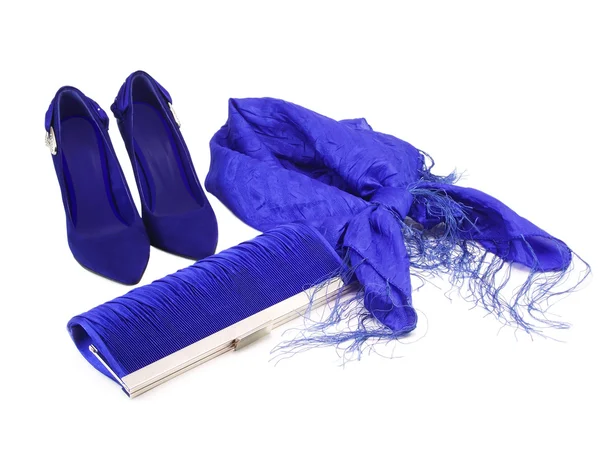 Темно-синє жіноче взуття на високому каблуці, шарфі та мішку зчеплення — стокове фото