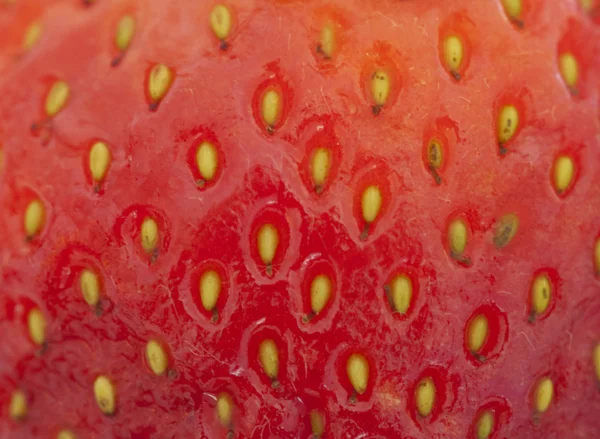 Färsk jordgubbe bakgrund — Stockfoto