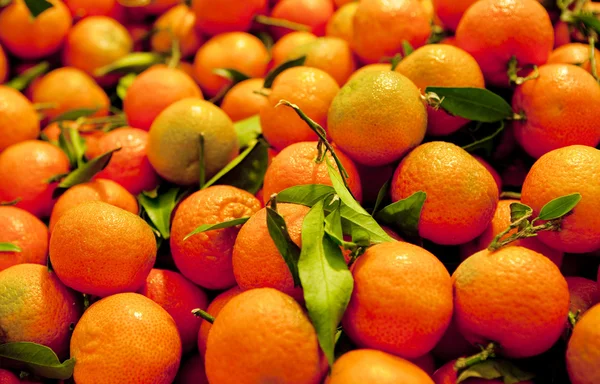 Mandarini arancio — Foto Stock