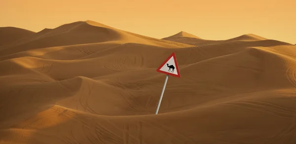 Waarschuwing zucht in de woestijn — Stockfoto
