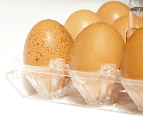 Коричневые яйца в пластиковой коробке — стоковое фото