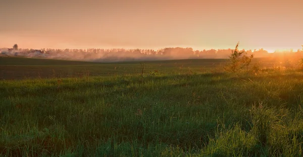 stock image Landscape. Countryside