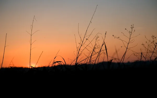 stock image Landscape. Countryside