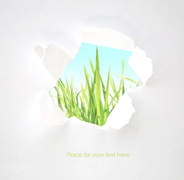 Groen gras in abstracte venster. lente achtergrond — Stockfoto
