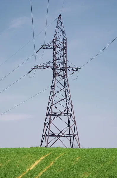 stock image Electric power lines on the green field