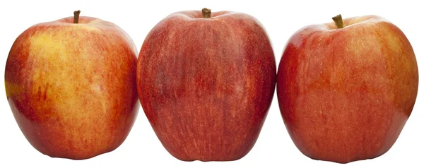 Tiga apel di latar belakang putih — Stok Foto