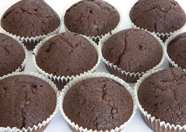 Gebied van chocolade muffins — Stockfoto