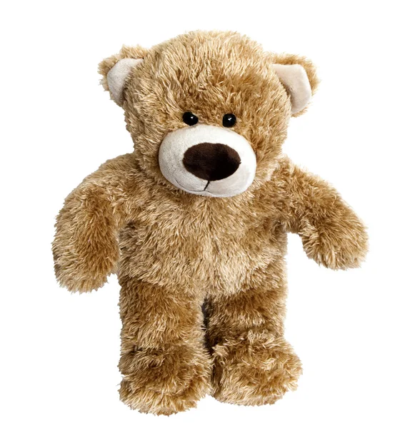 stock image Teddy bear isolated on white background