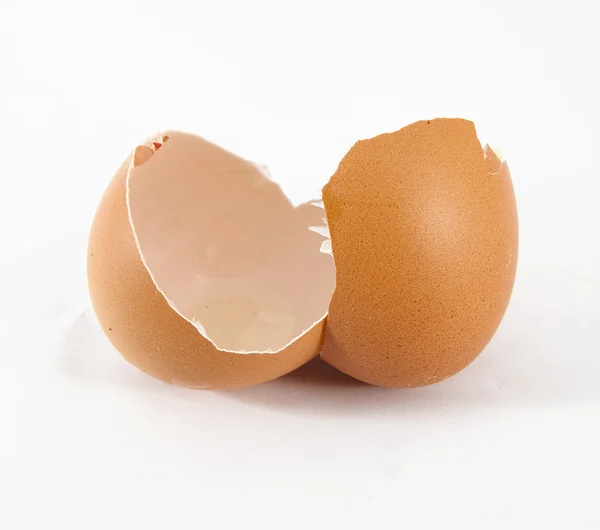 Broken egg shell — Stok fotoğraf