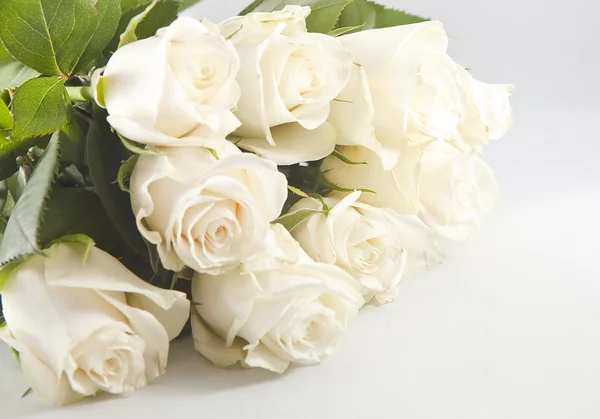 Куча белой розы — стоковое фото