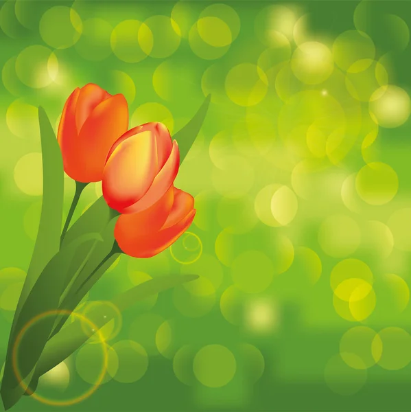 Fondo de primavera. Tulipanes — Archivo Imágenes Vectoriales
