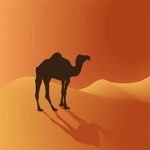 Chameau dans le désert — Image vectorielle