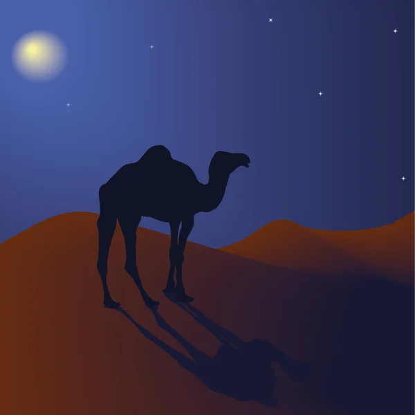 Camello vectorial en el desierto nocturno — Vector de stock