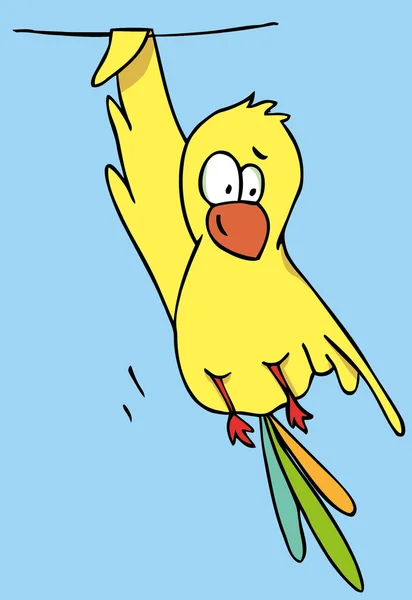 面白い鳥の漫画 — ストックベクタ