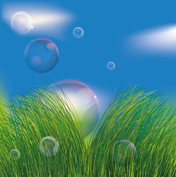 Bubbles in the grass — Stock Vector