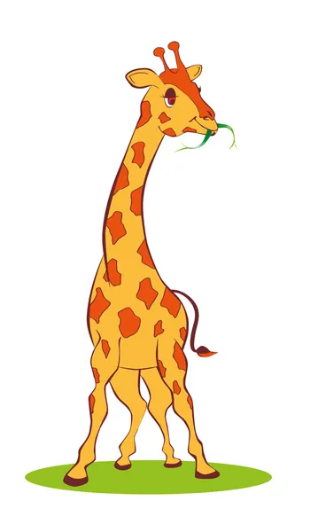 Cute vector giraffe — Stock Vector
