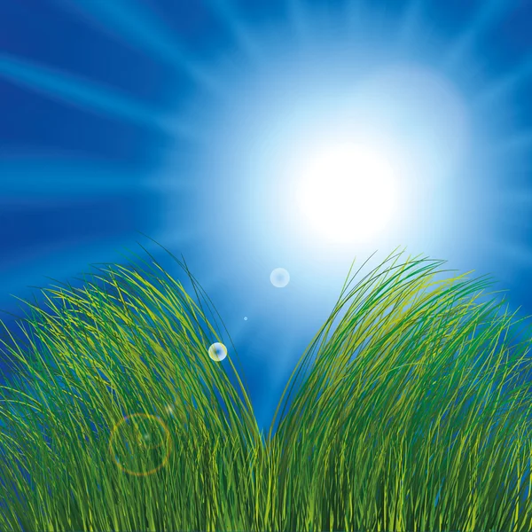 Grass and sunny sky — Stock Vector