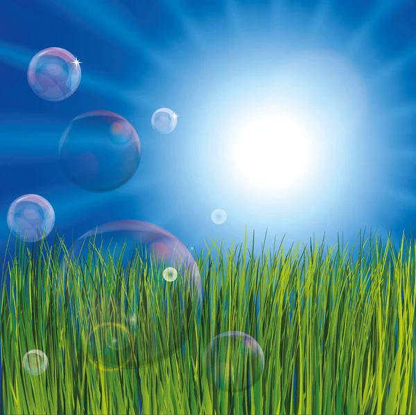 Burbujas en la hierba — Archivo Imágenes Vectoriales