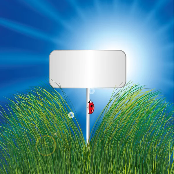 Ladybird çim ile boş işareti — Stok Vektör