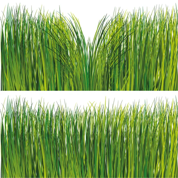 Ensemble d'herbe — Image vectorielle