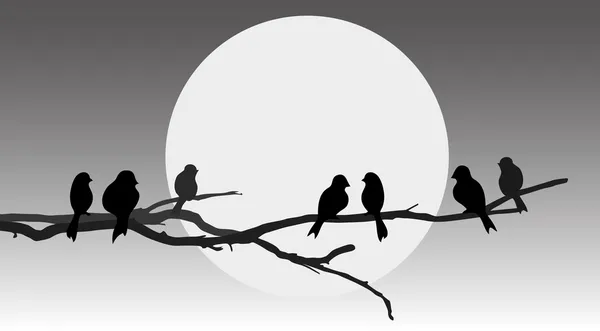 Vögel sitzen auf einem Ast — Stockvektor