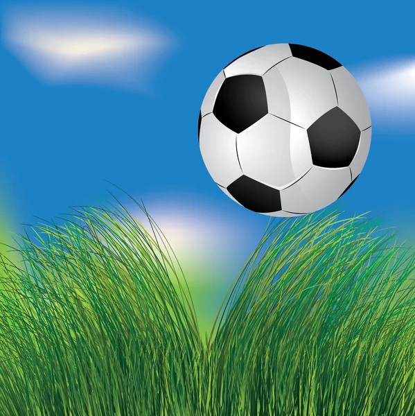 Ballon de football dans l'herbe — Image vectorielle