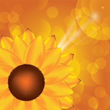 Sunflower background clipart