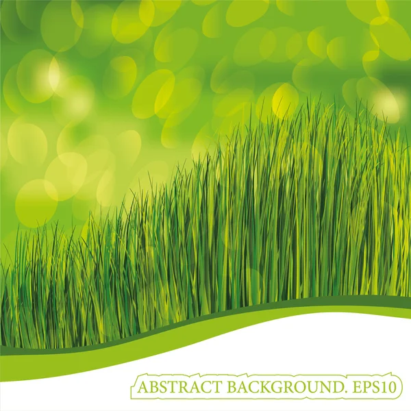 Spring background. EPS10. Place for your text — Stock Vector