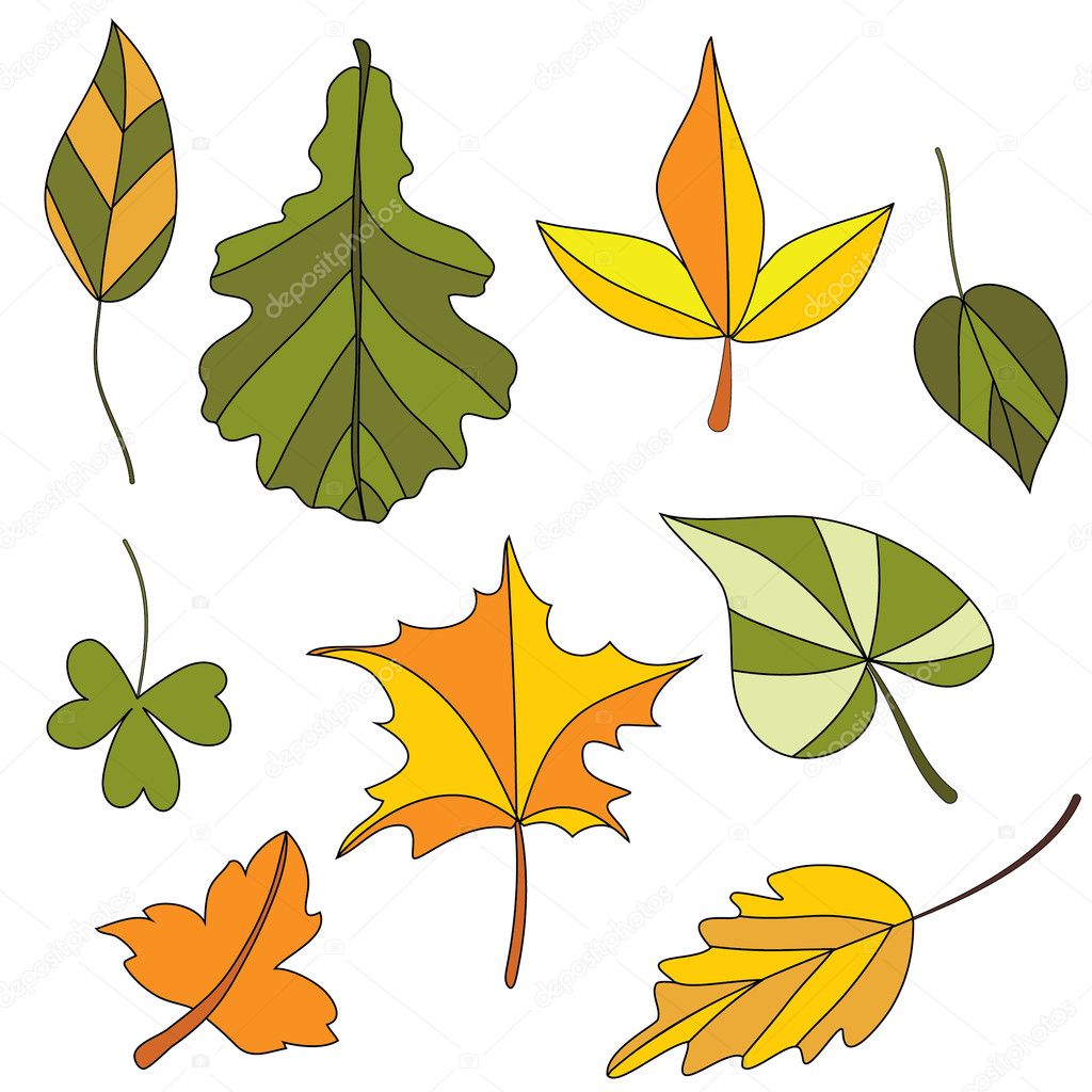 Autumn Leaf Set — Stock Vector © Marifa 6644893 