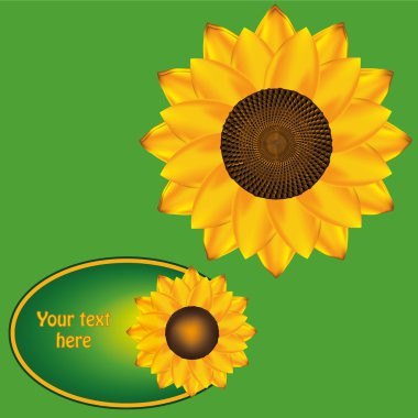 Sunflower. Label for sunflower oil clipart