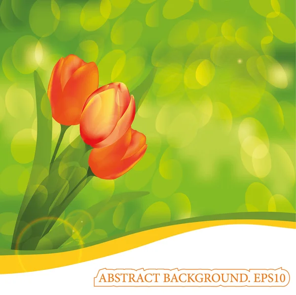 Spring background. Tulips. — Stock Vector