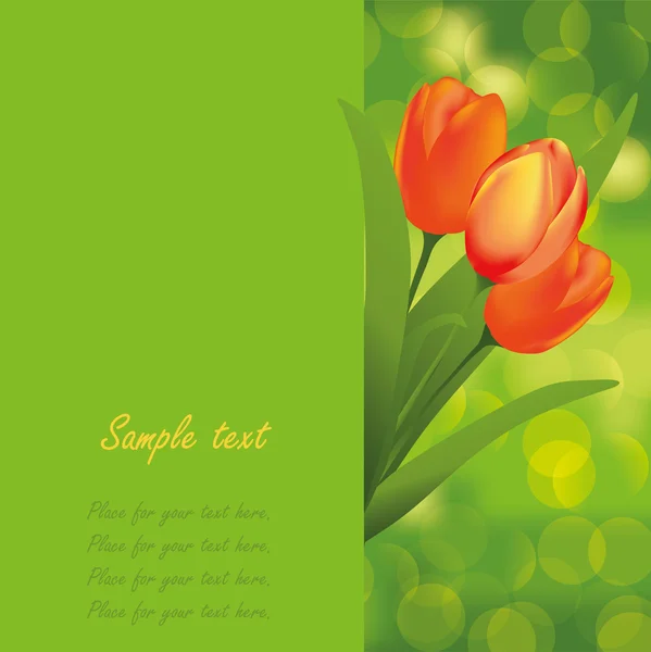 Spring background. Tulips. — Stock Vector