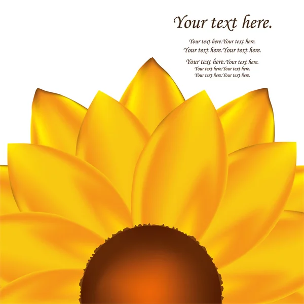 Abstrakter Vektor Sonnenblumen Hintergrund — Stockvektor