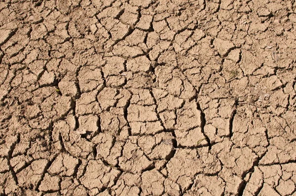 Dry Earth — Stock Photo, Image