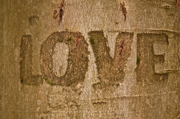 Love Sign — Stock Photo, Image