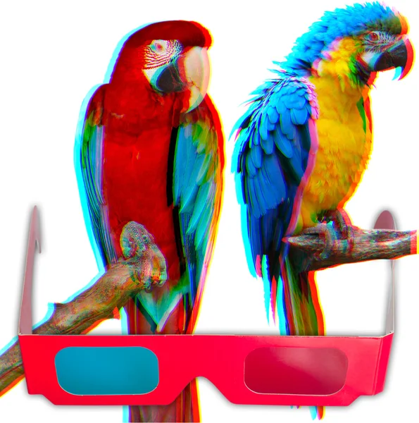 Papoušci v 3d — Stock fotografie