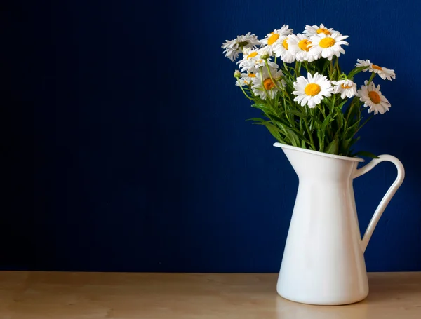 Oxeye Daisies in the Pitcher — Stock Photo, Image