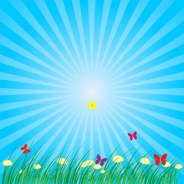 Summer - Spring Nature Background — Stock Vector
