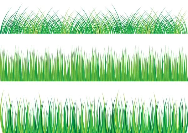 Groen gras — Stockvector