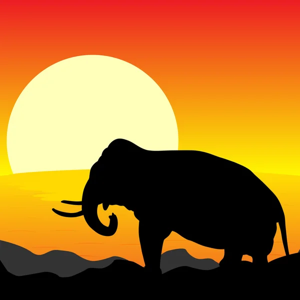 África puesta de sol — Vector de stock