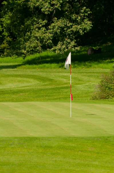 Golf gröna med flagga — Stockfoto