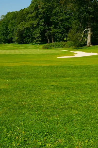 Golfplatz im Wald — Stockfoto