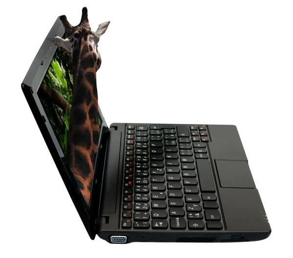 3D-laptop — Stockfoto