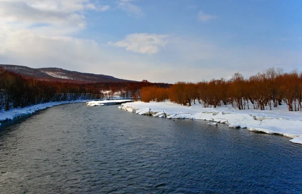 El río en el invierno —  Fotos de Stock